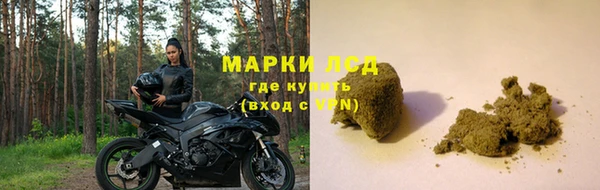 СК Струнино