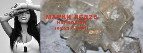 ГАЛЛЮЦИНОГЕННЫЕ ГРИБЫ Баксан