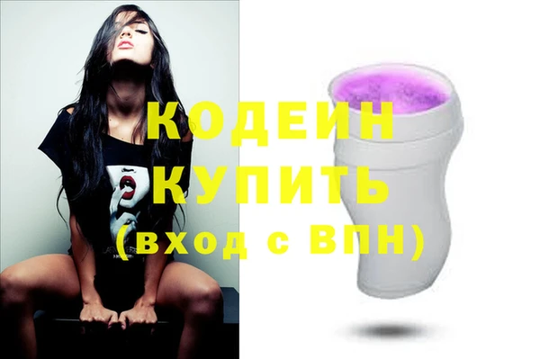 СК Струнино