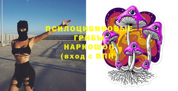 ГАЛЛЮЦИНОГЕННЫЕ ГРИБЫ Баксан