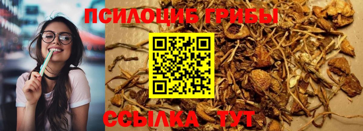 Борисоглебск  Псилоцибиновые грибы мицелий  Вход с VPN 